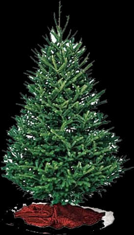 Decorated Pine Treewith Red Skirt PNG image with a transparent background, free high-resolution download
