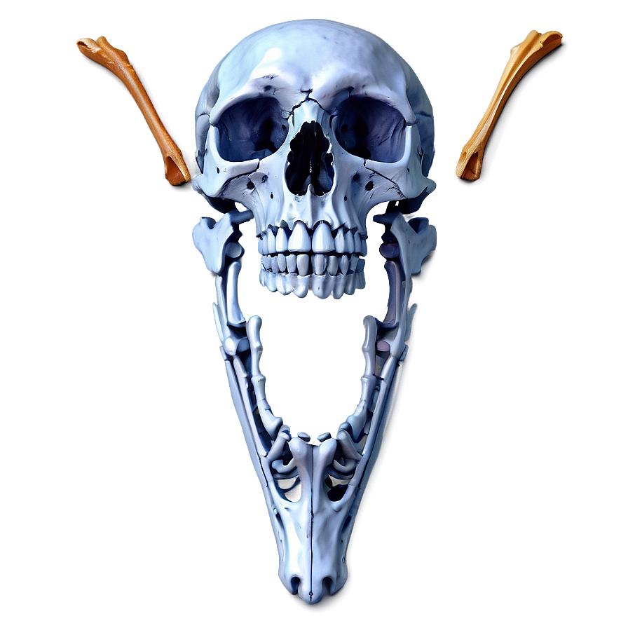 Decorative Bones Png Yyk