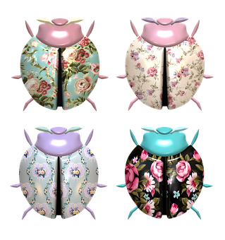 Decorative Floral Ladybug Designs PNG with transparent background