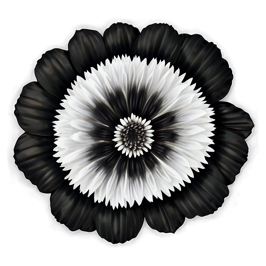 Decorative Flower Black And White Png 05252024