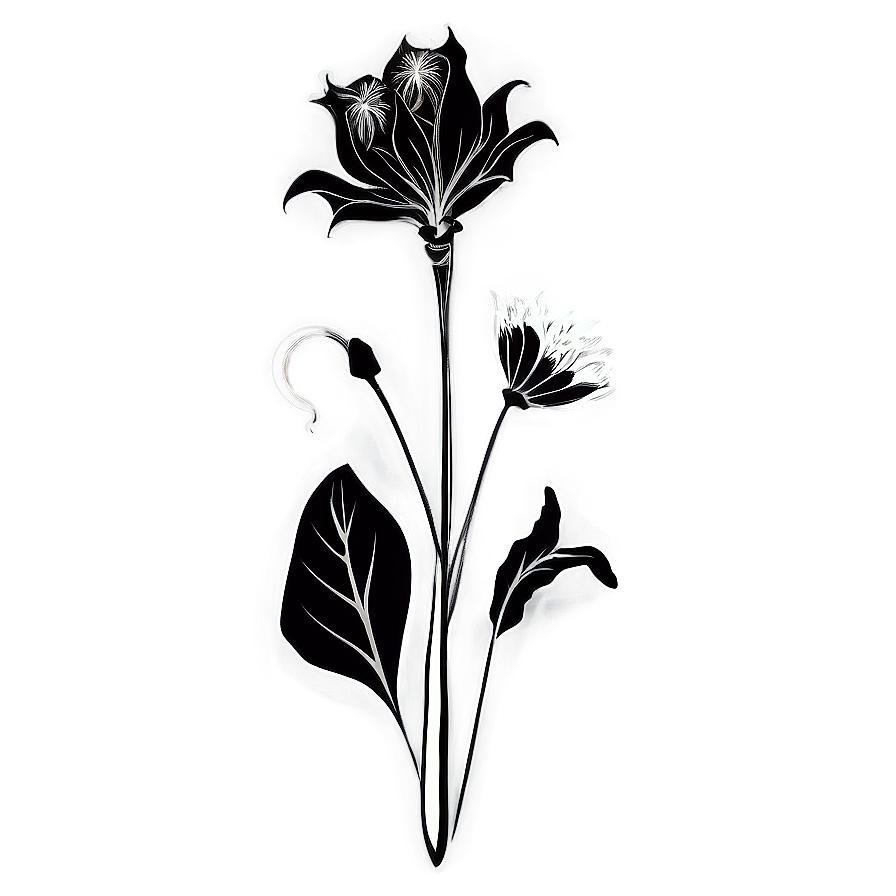 Decorative Flower Black And White Png Mkn