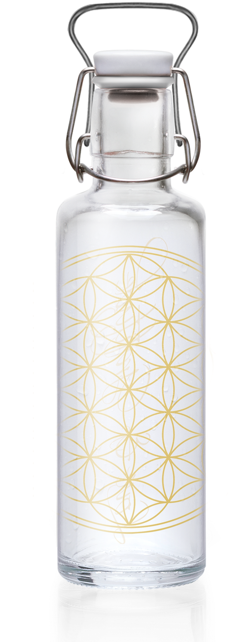 Plastic Free Glass Water Bottle, HD Png Download PNG image with a transparent background, free high-resolution download