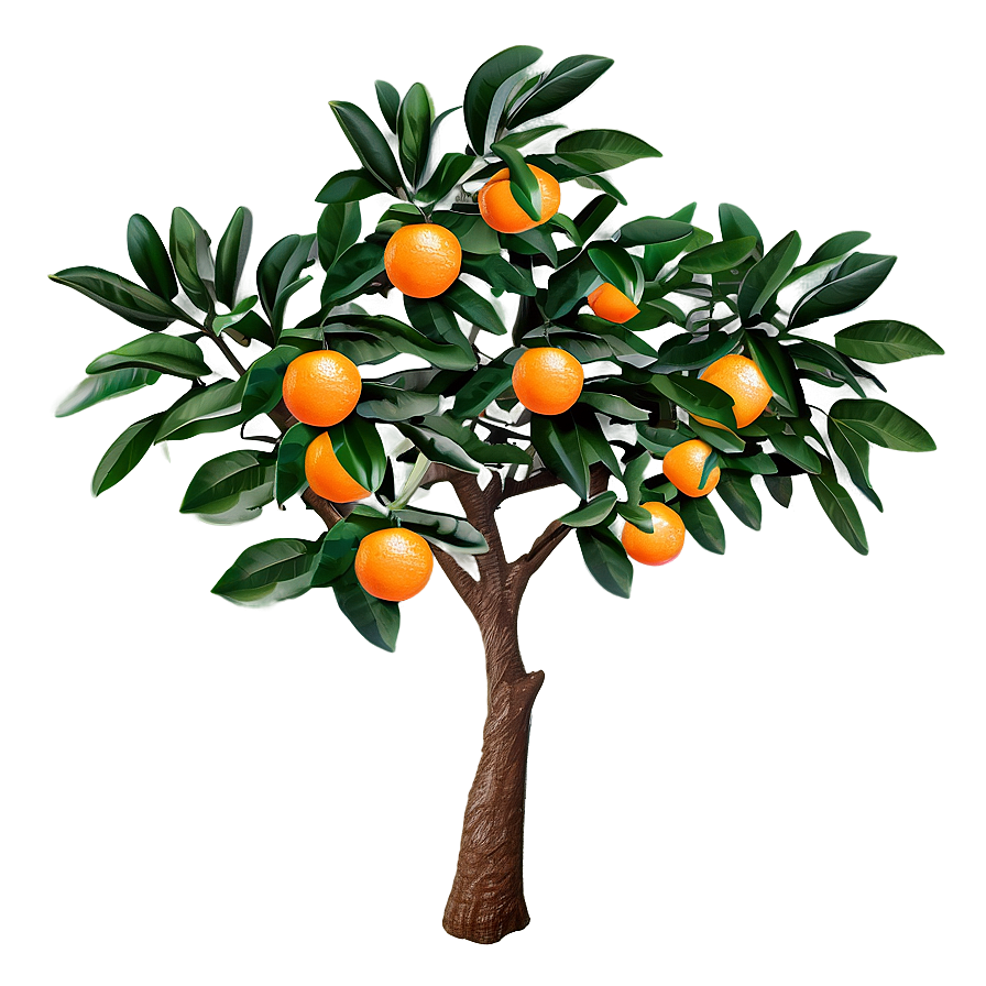 Decorative Orange Tree Png 06132024