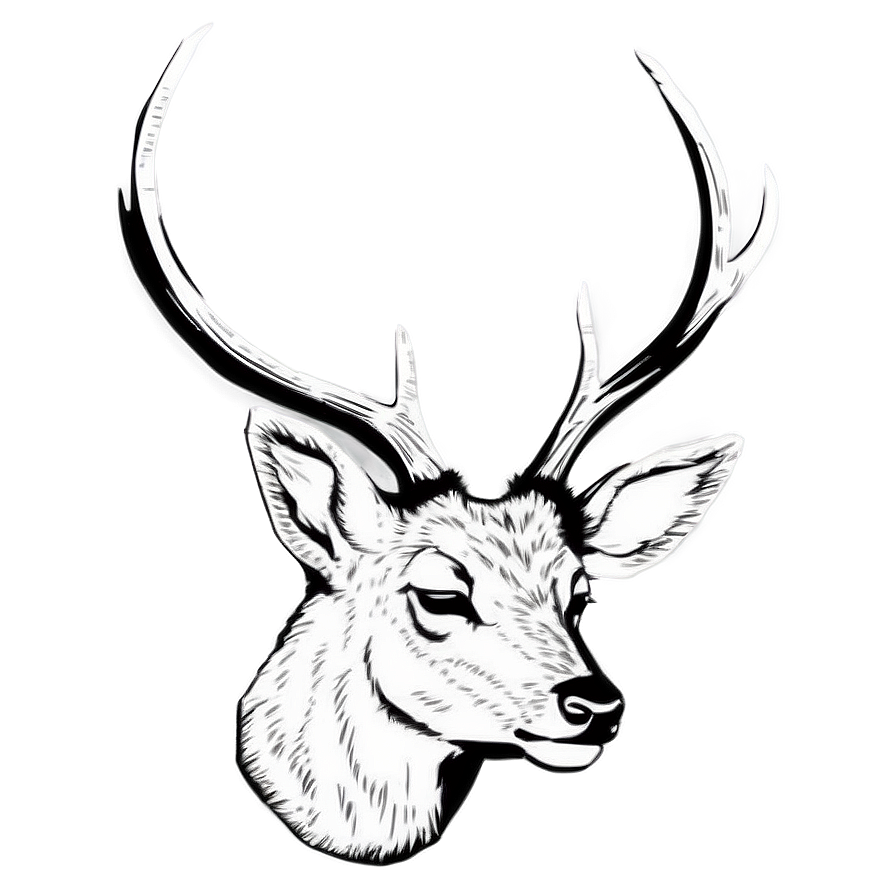 Deer Head Silhouette Png Myp69