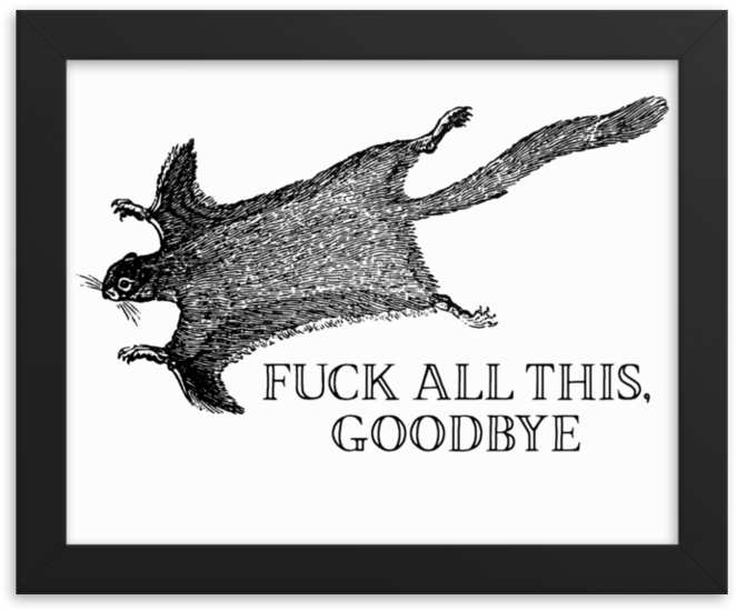 Goodbye Framed'Srcset='data - Effin Birds Goodbye, HD Png Download PNG with transparent background