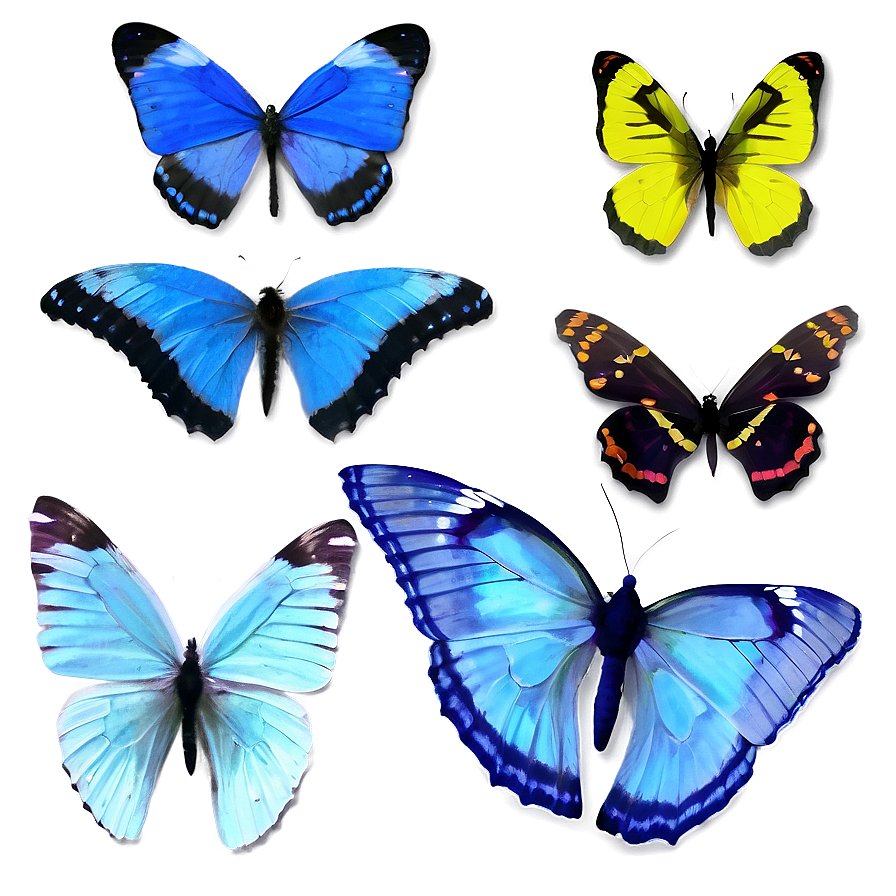 Delicate Blue Butterflies Png Ccl