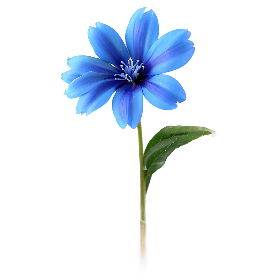Delicate Blue Flower PNG 05242024 PNG with transparent background