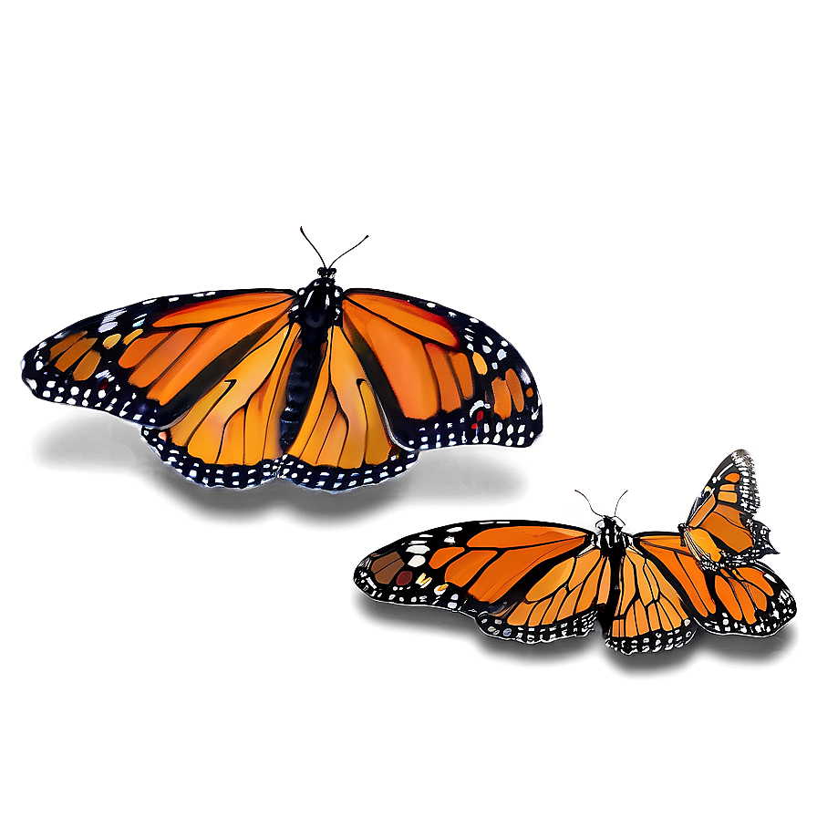 Delicate Monarch Butterflies Png Mkl53