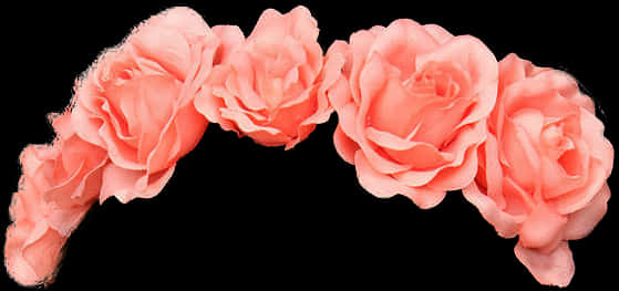 Delicate Pink Roses Black Background