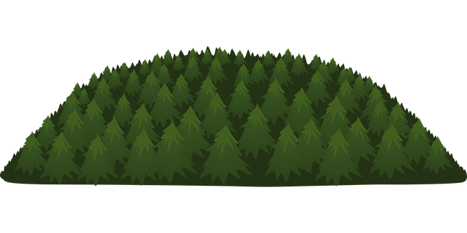 Dense Forest Silhouette PNG with transparent background