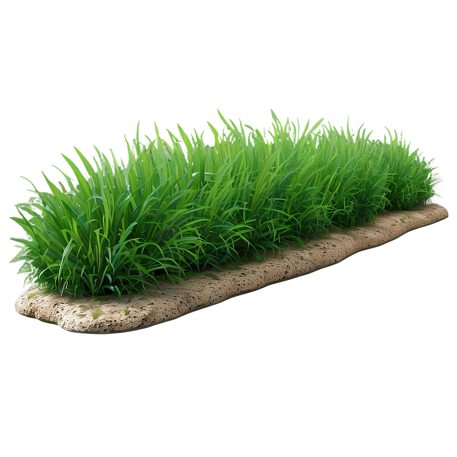 Dense Green Grass Png 46