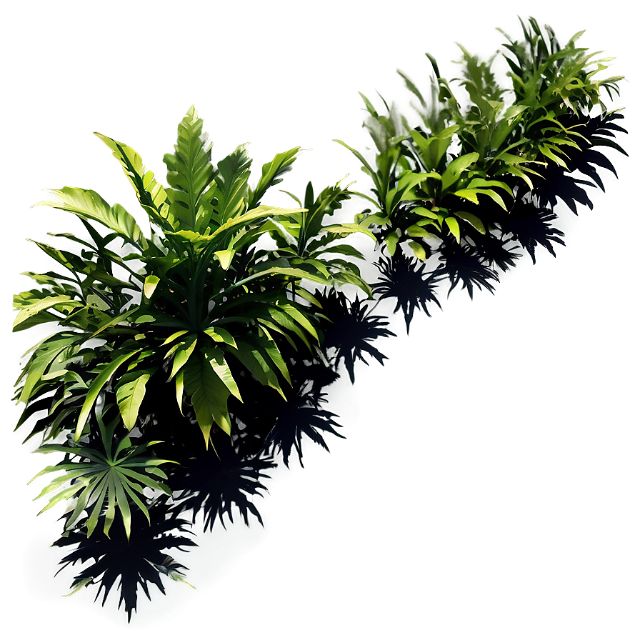 Dense Plant Shadow Composition Png Mab