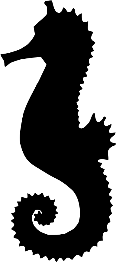 Desenho De Cavalo Marinho Para Imprimir, HD Png Download PNG with transparent background