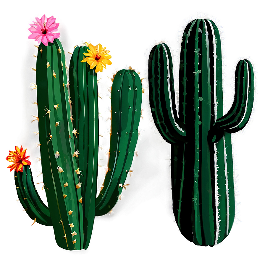 Desert Cactus PNG kls91 PNG with transparent background
