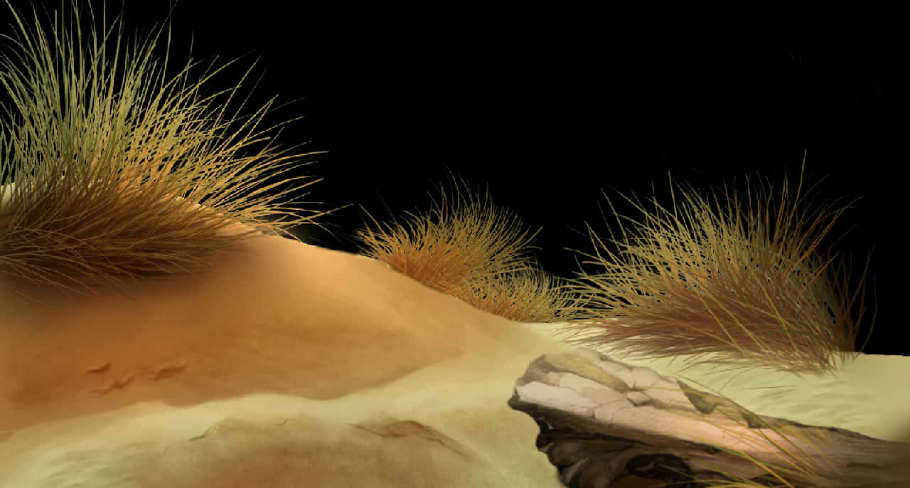 Desert Dunesand Grass PNG with transparent background