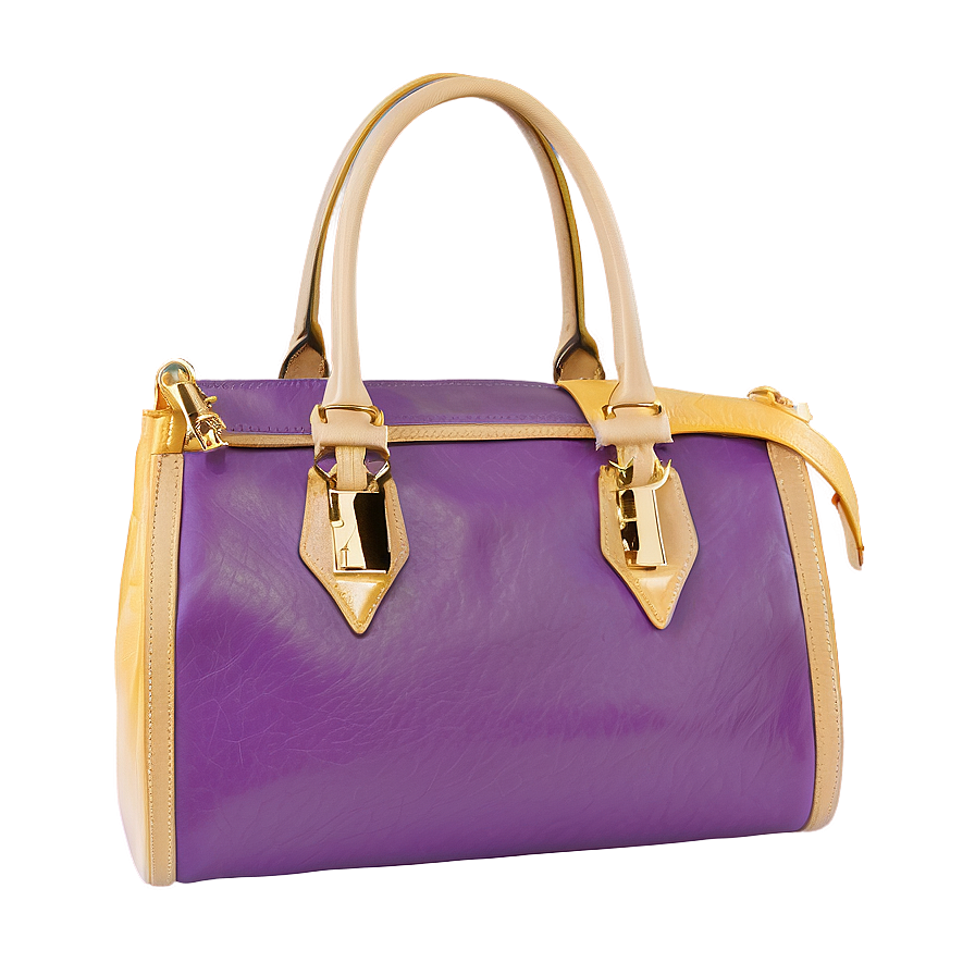 Designer Purse PNG 3 PNG with transparent background
