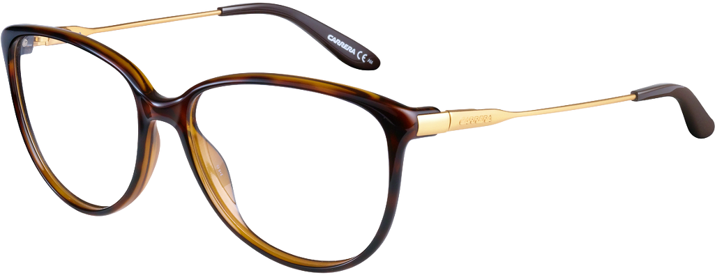 Designer Tortoiseshell Eyeglasses