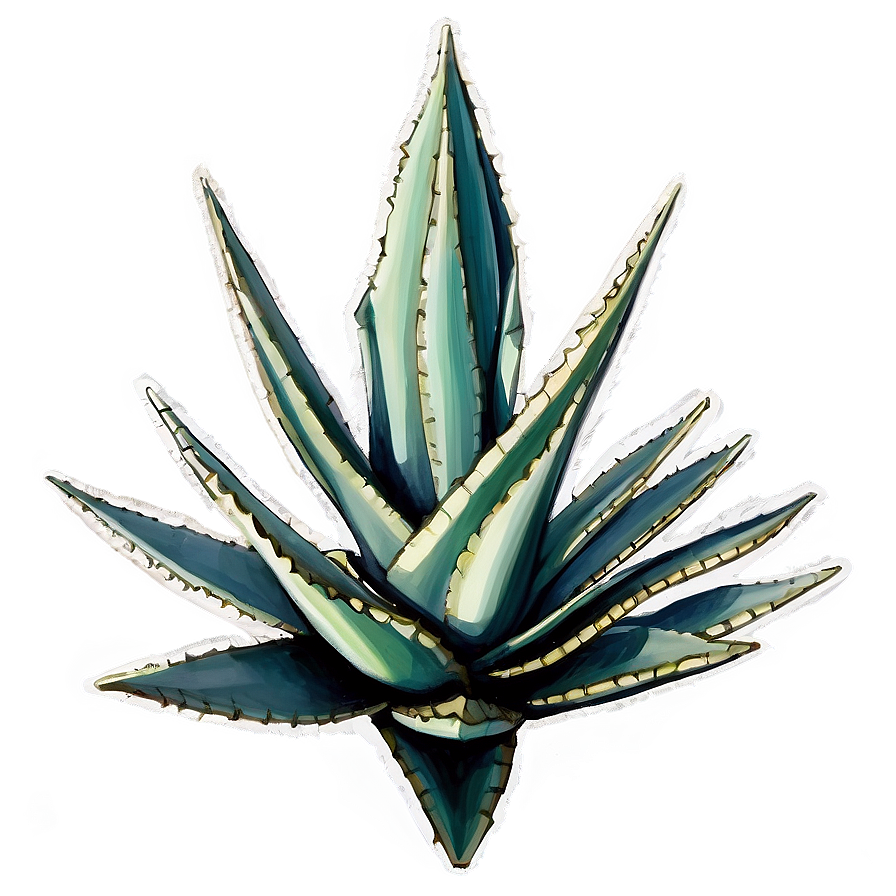 Detailed Agave Drawing Png Hfo