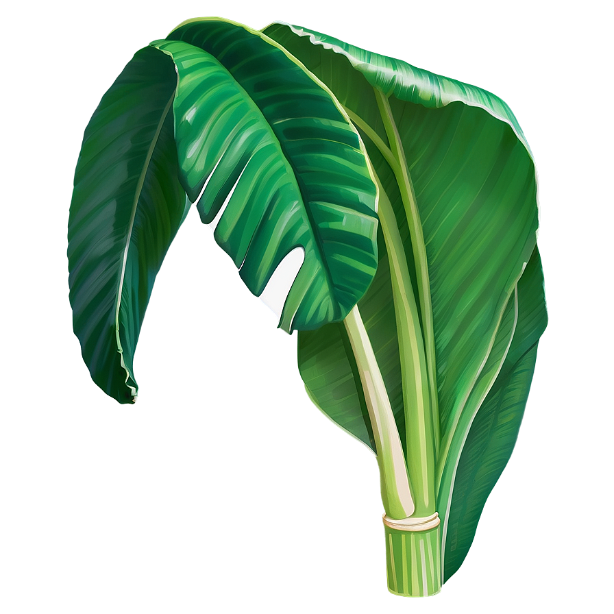 Detailed Banana Leaf Png Dfr66