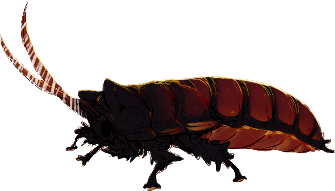 Detailed Cockroach Illustration