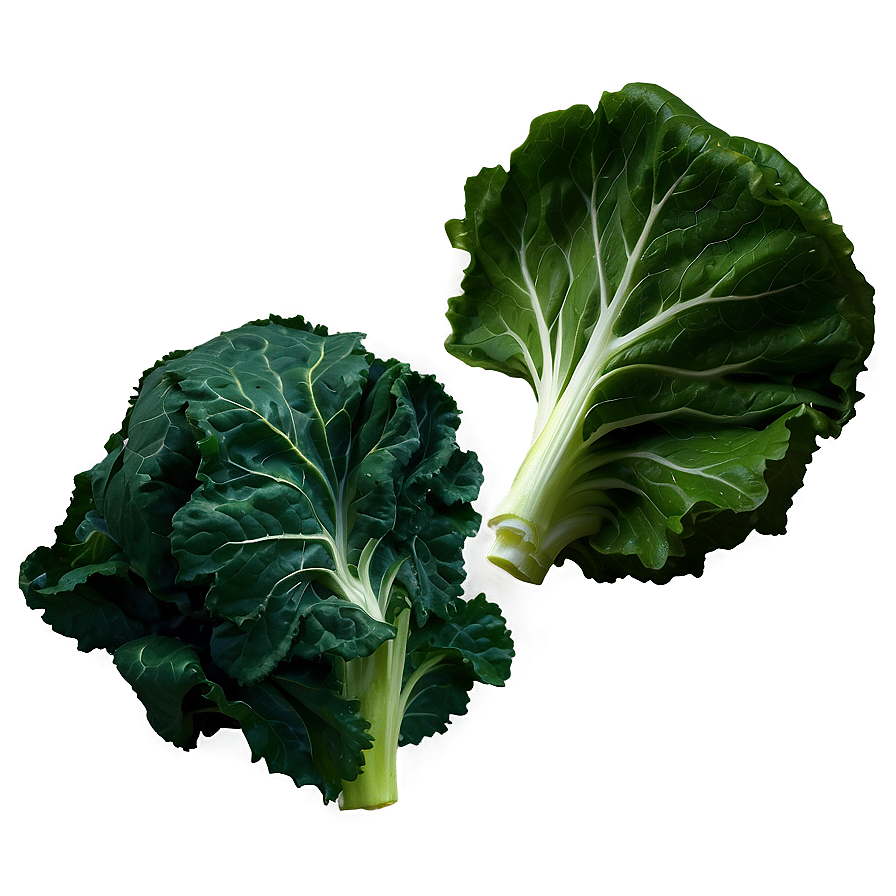 Detailed Collard Greens Png Skb