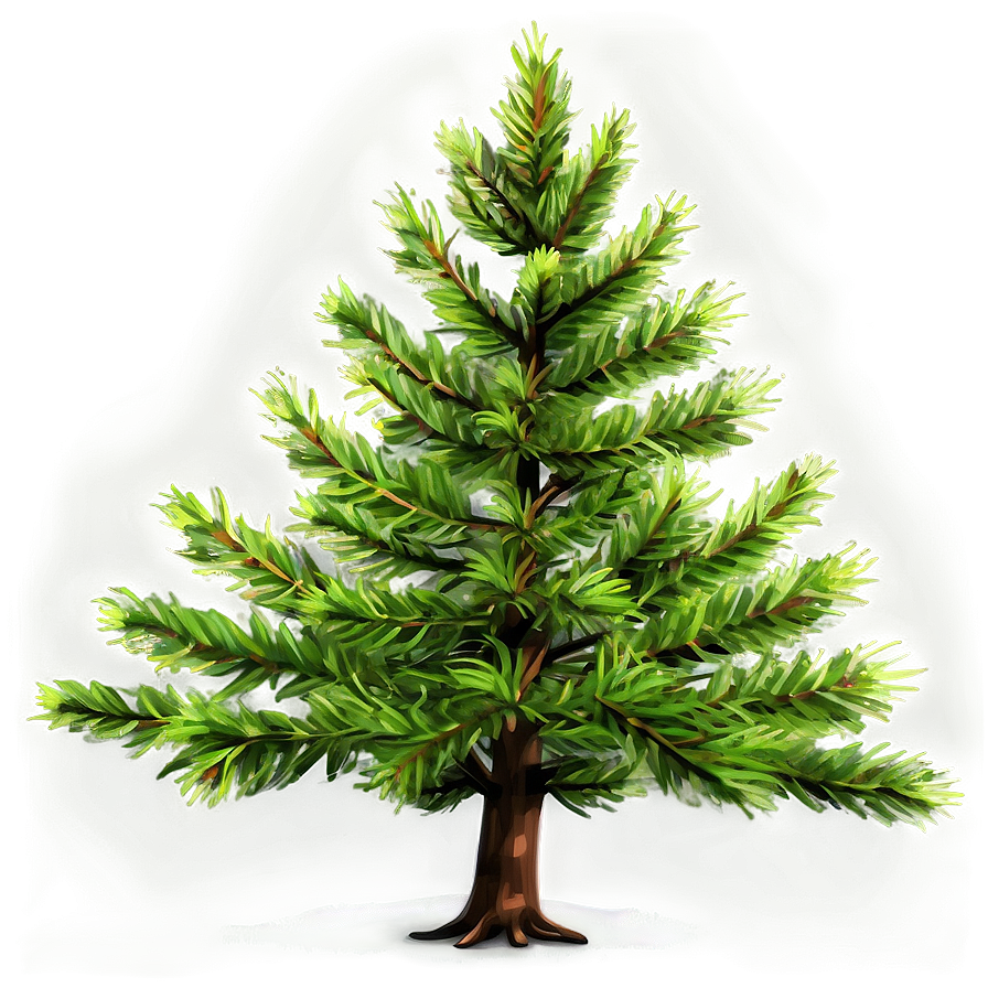 Detailed Evergreen Tree Png 06212024