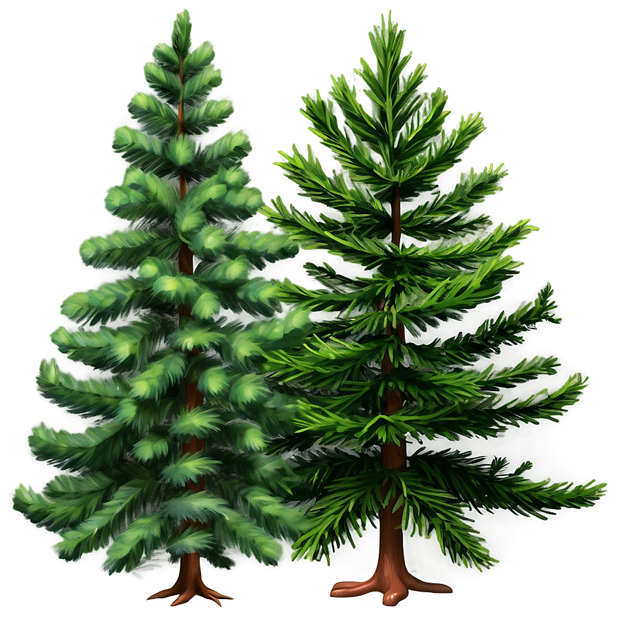 Detailed Evergreen Tree Png Fke