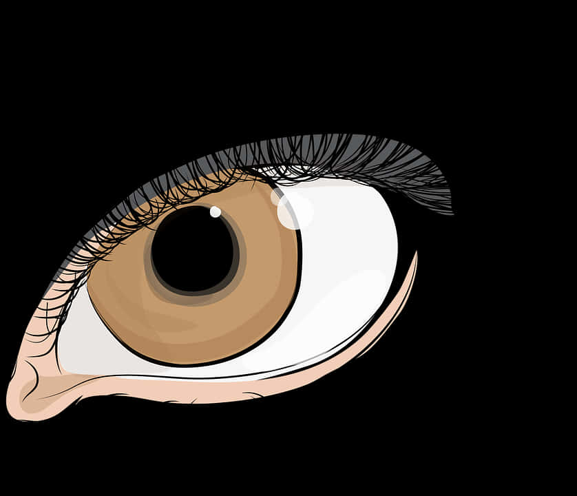 Detailed Eye Illustrationwith Long Lashes