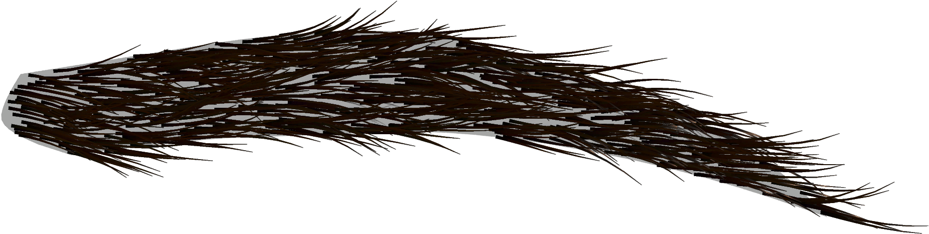 Detailed Eyebrow Texture PNG with transparent background