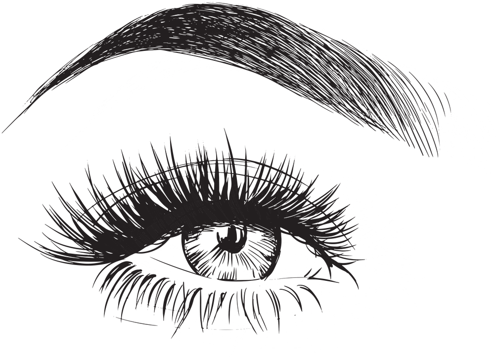 Detailed Eyebrowand Eye Illustration PNG with transparent background