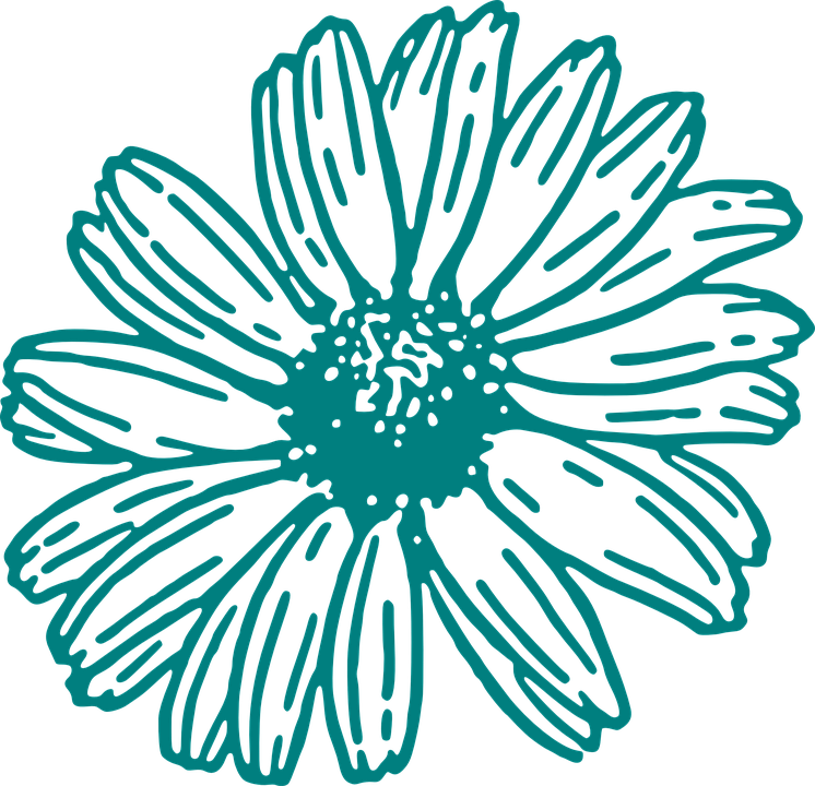 Detailed Flower Outline Graphic