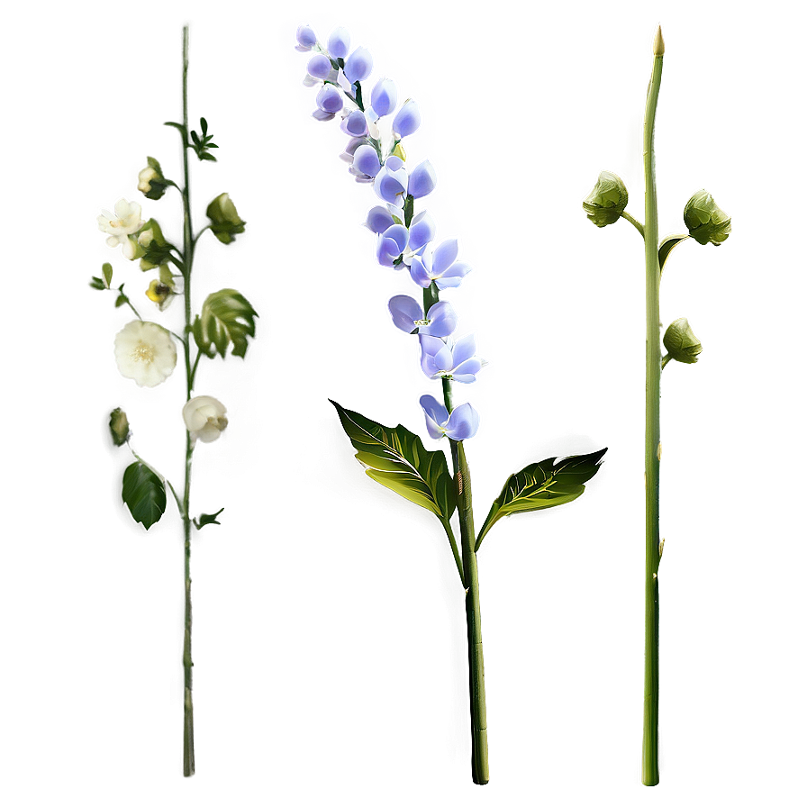 Detailed Flower Stem Png 06132024