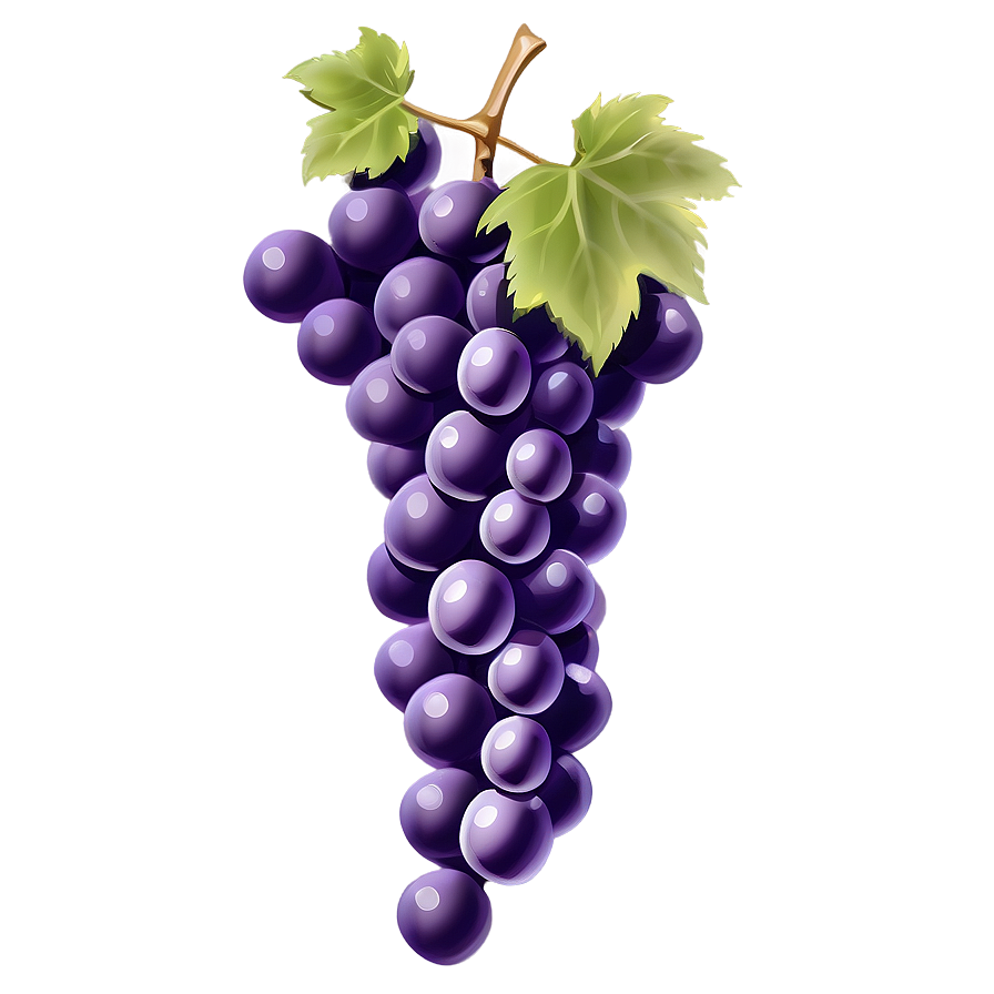 Detailed Grape Drawing Png 30