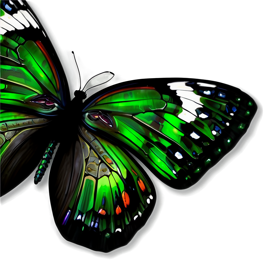 Detailed Green Butterfly Png Thc77