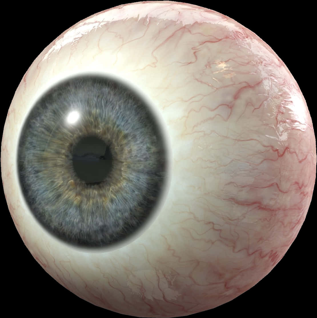 Detailed Human Eyeball Closeup PNG with transparent background