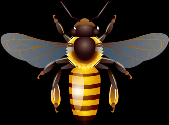 Bee Png - Clip Art Honey Bees, Transparent Png PNG with transparent background