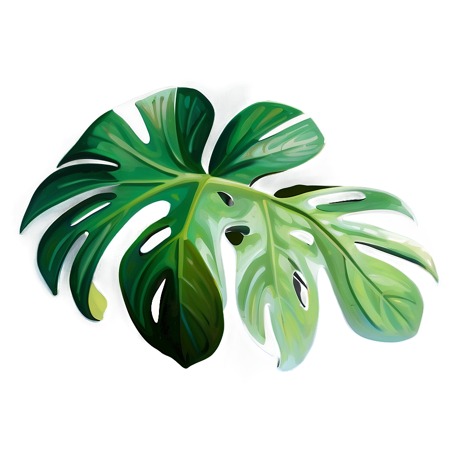 Detailed Monstera Leaf Png Miy37