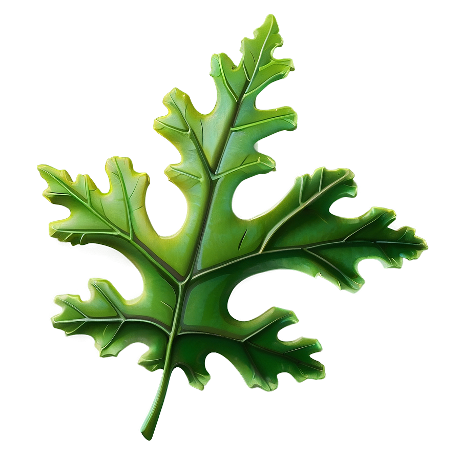 Detailed Oak Leaf Png 96