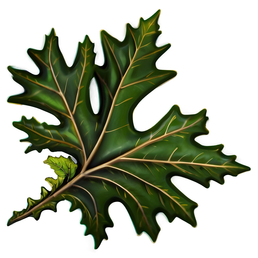 Detailed Oak Leaf Png Hxc