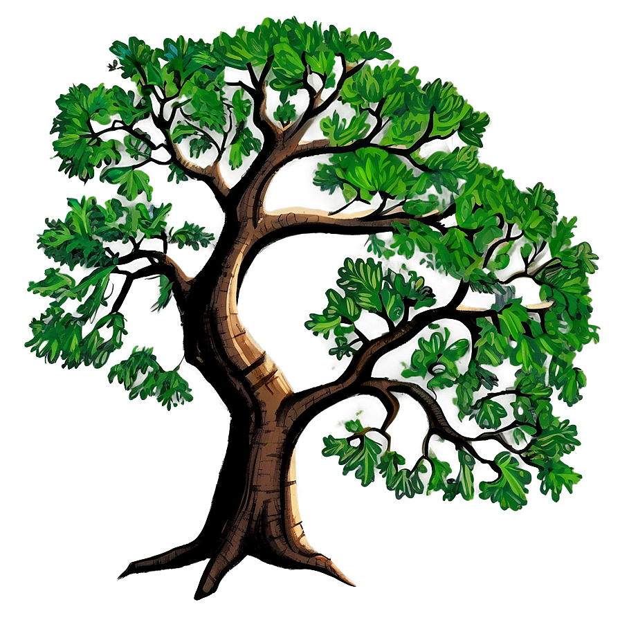 Detailed Oak Tree Drawing PNG srr PNG with transparent background
