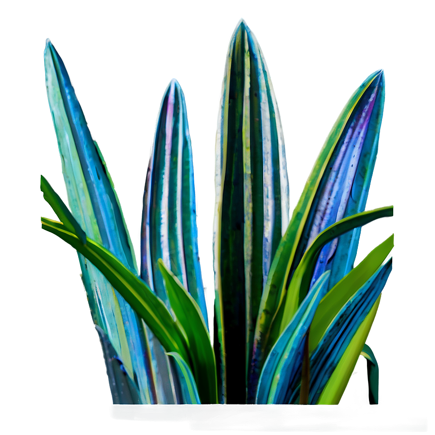 Detailed Snake Plant Png Cek