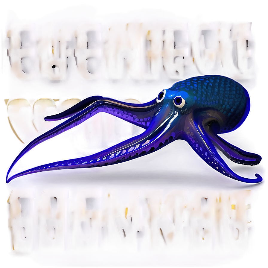 Detailed Squid Anatomy Png Yup