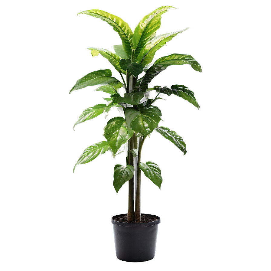 Detailed Tall Plant Png 34