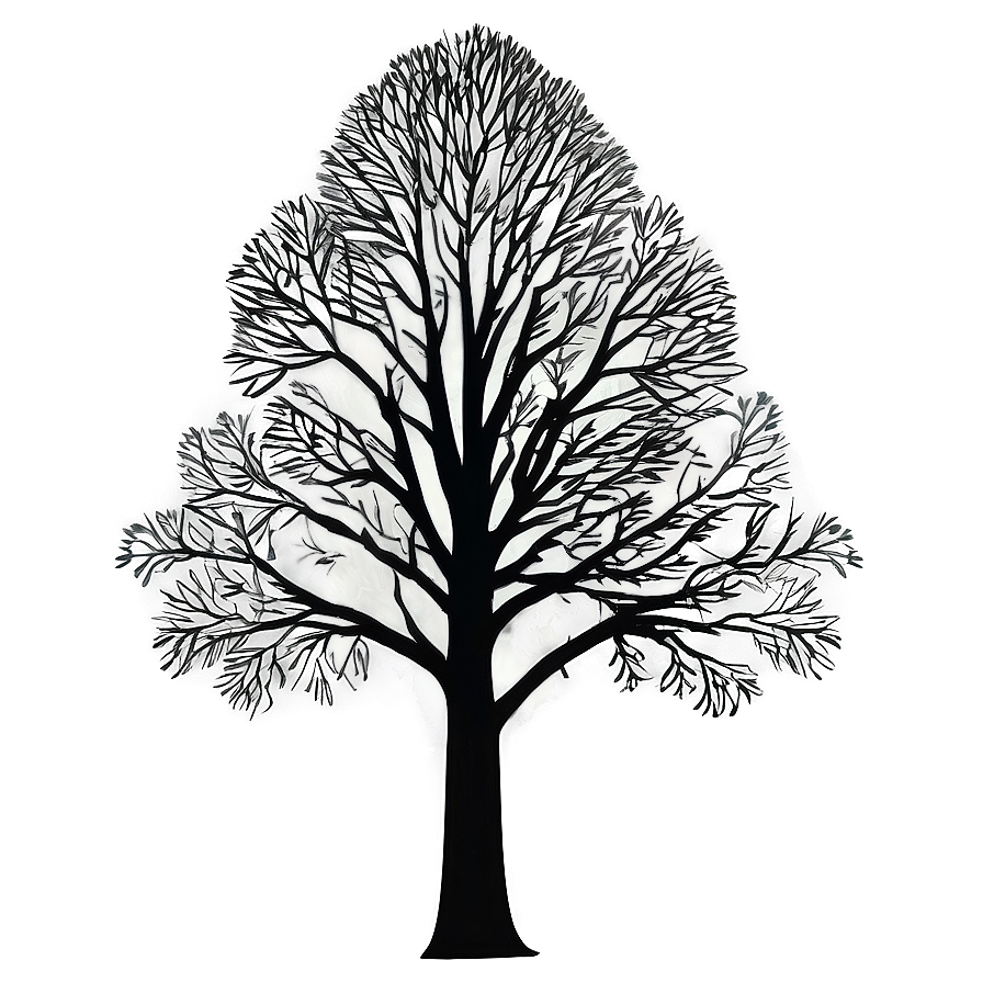 Detailed Tree Forest Silhouette Png Hce