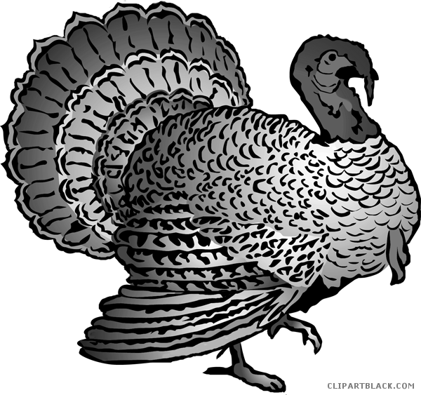 Detailed Turkey Clipart Illustration