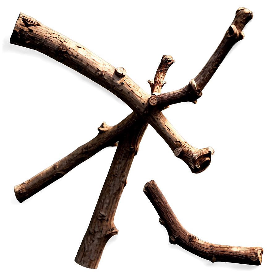 Detailed Twig Png Ppo