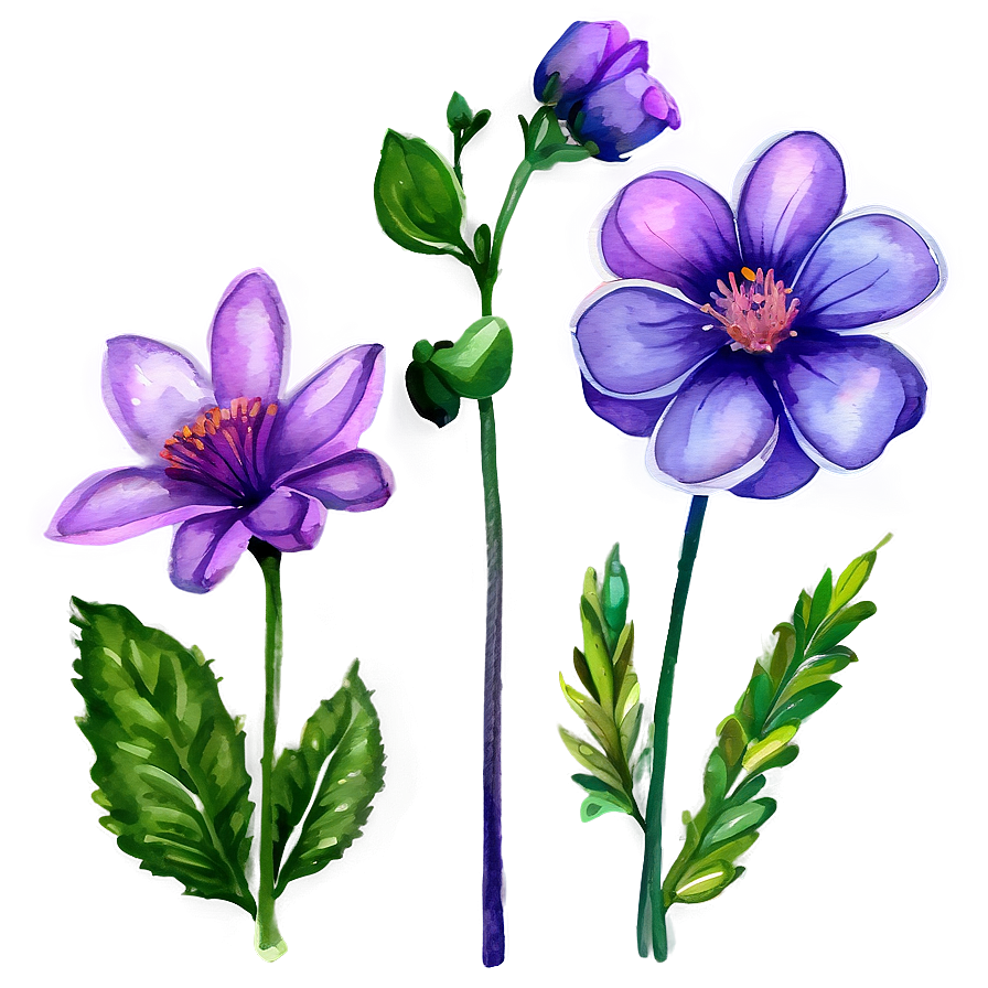 Detailed Watercolor Flowers Png Kem16