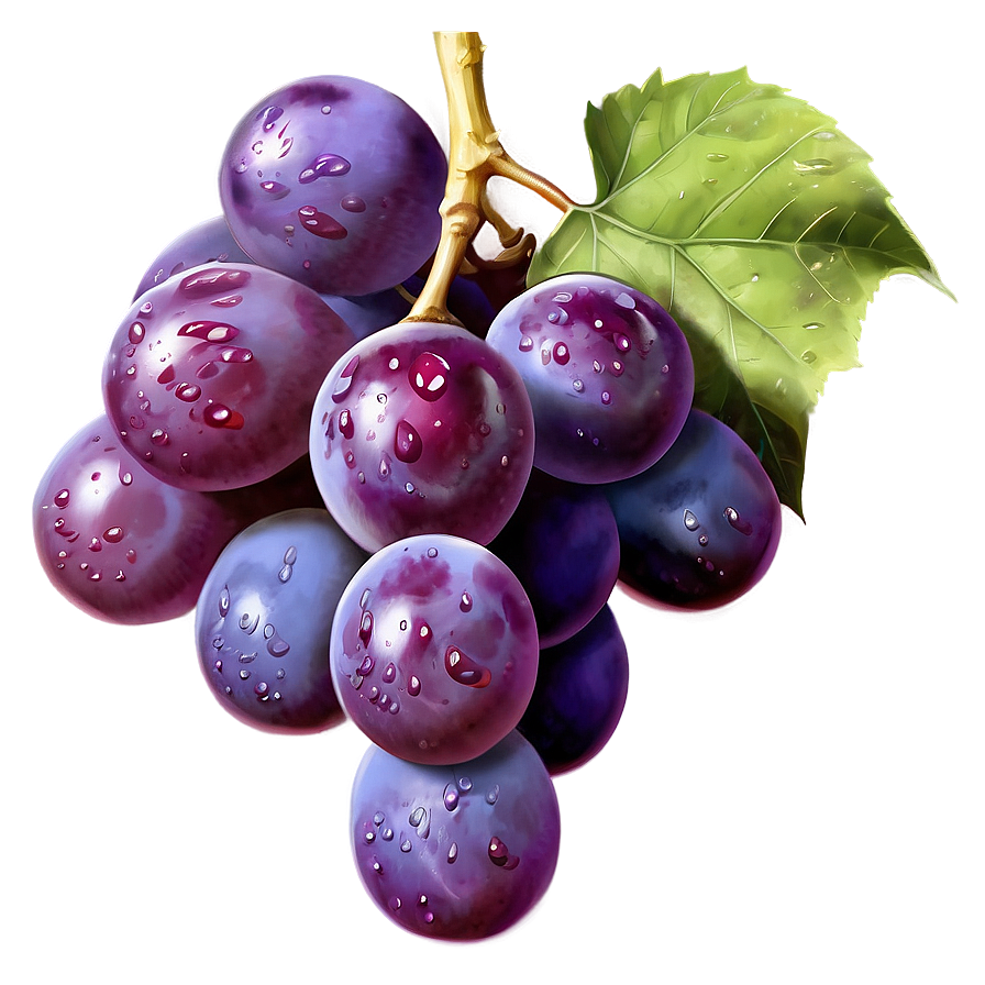 Dewy Single Grape Png 15