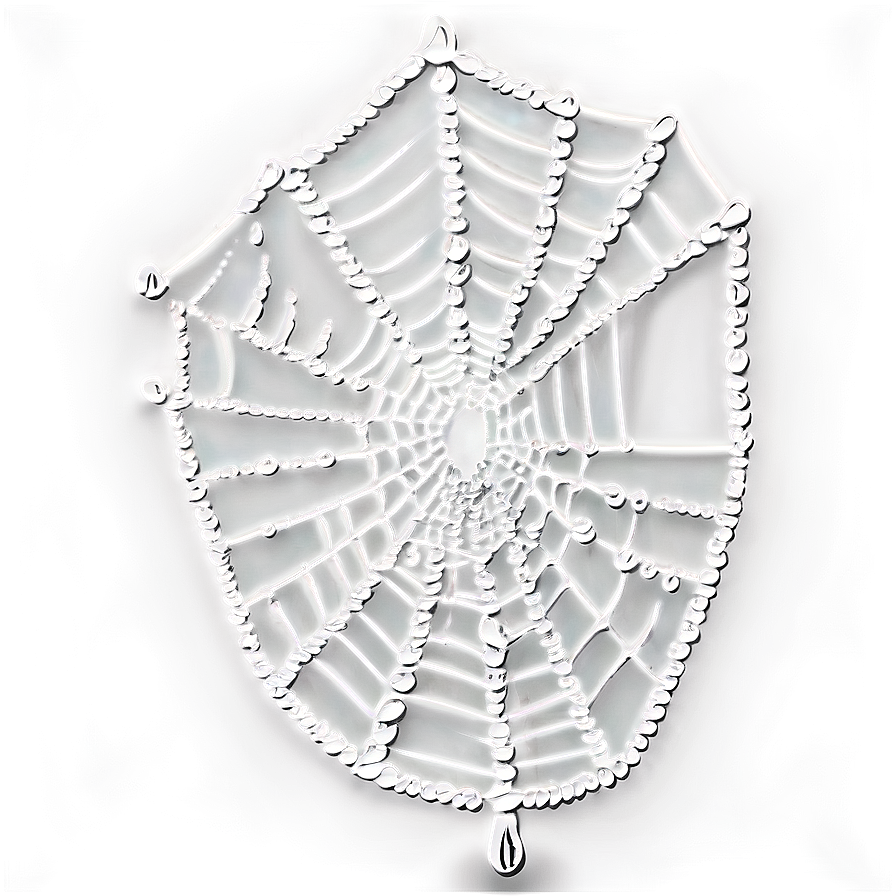 Dewy Spider Web Art