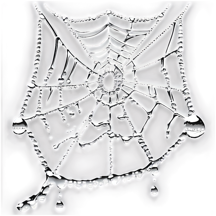 Dewy Spider Web Art